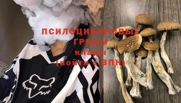 кокс Липки