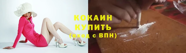 мдпв Ачинск