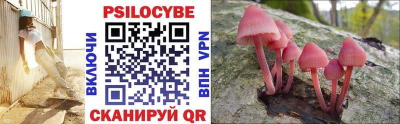 как найти Сухой Лог Псилоцибиновые грибы MAGIC MUSHROOMS